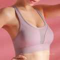 Sport Bra 2021 Hot Sexy Sports Wear Women Gym Fitness Ladies Sport Bra Hot Sexy Women Bra Active Wear